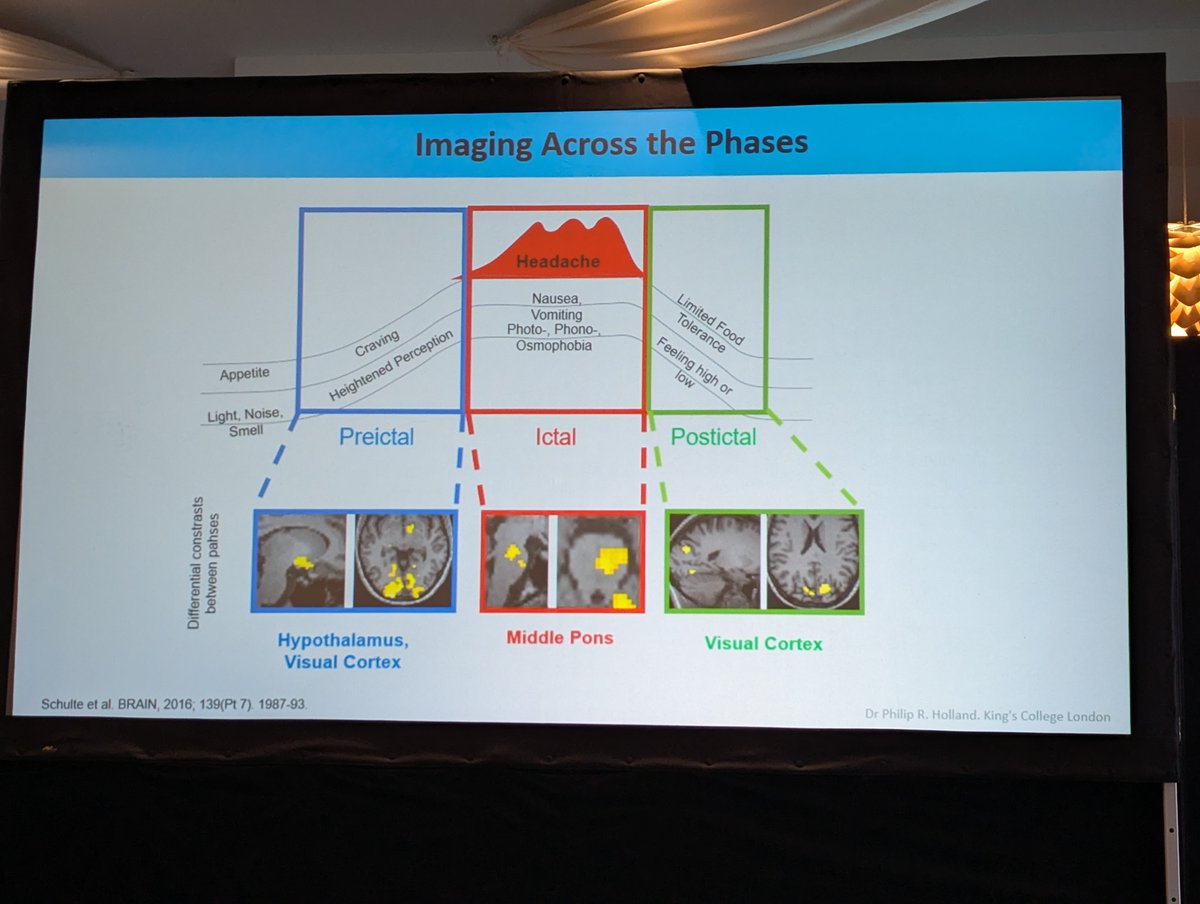 Prof Phil Holland interesting #BASH talk from prodrome to postdrome and the importance of hypothalamus. The importance of preclinical animal research for new targets, treatments and investigate pathophysiology to help future patients. #bashhead #MedEd