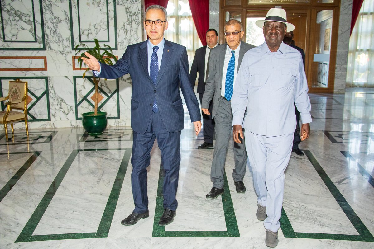 RailaodingaAuc's tweet photo. Thank you very much H.E. Mohamed BEN AYED, Secretary of State of Foreign Affairs, Migration and Tunisians Abroad, for extending a gracious welcome to me.
An opportunity to exchange ideas on the Transformative Agenda for Africa sharing my Vision as AUC Chairmanship Candidate. https://t.co/1JBOJSsBKW