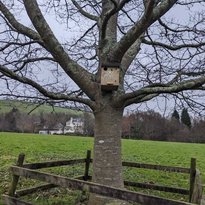 Here are a couple of Little Owl boxes that our Conservation Team installed recently at a local site where the residents have been hearing their distinctive calls 🤩🦉
Little Owls are rapidly disappearing in Devon and so if anyone sees or hears them about, please let us know!