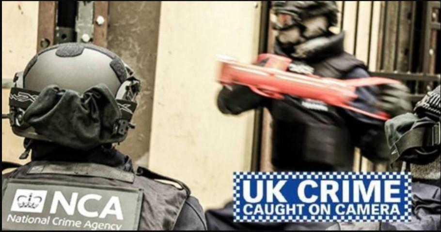 LSA Express tweet media