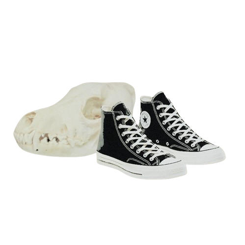 TAKBORNE03's tweet photo. ㅤ͏͏͏͏͏͏
͏͏͏͏͏͏ https://t.co/rBhwxSbN0e