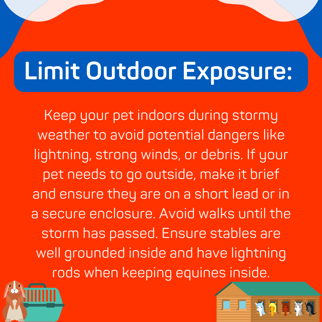 nspca_longford's tweet photo. As #StormÉowyn approaches Ireland, bringing severe winds and heavy rainfall, it's crucial to ensure the safety and well-being of your pets during extreme weather. ⛈️ 

Check out our helpful tips to keep your animals safe in stormy weather: https://t.co/93kTFZ0Zcl 

@MetEireann https://t.co/1TRVxBZB2K