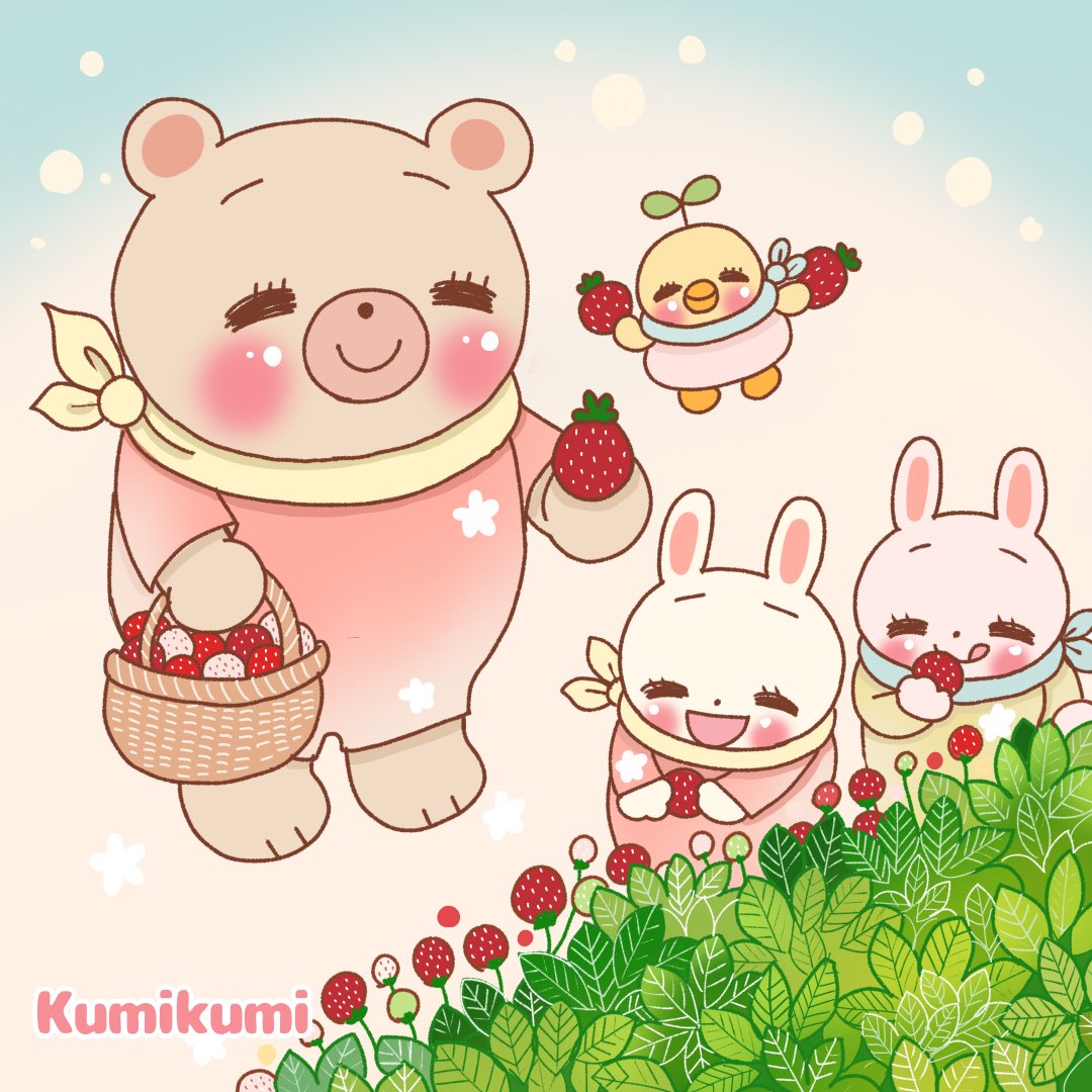 いちごの美味しい季節くまさん達も温室でいちご摘みいっぱい食べようね#
