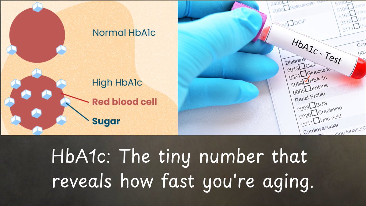 Your HbA1c isn’t just a blood test—it’s your body’s 3-month report card.

It reveals how well you’re fighting aging and inflammation.

Here’s the science behind it and why it’s the ultimate longevity marker: