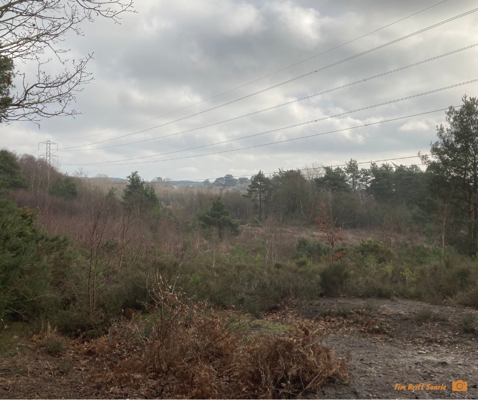 If you're venturing out to the #ThamesBasinHeaths today we hope you've packed your waterproofs 🌧️☔️

Please do stay safe over the next couple of days with the predicted high winds and rain.
#Winter