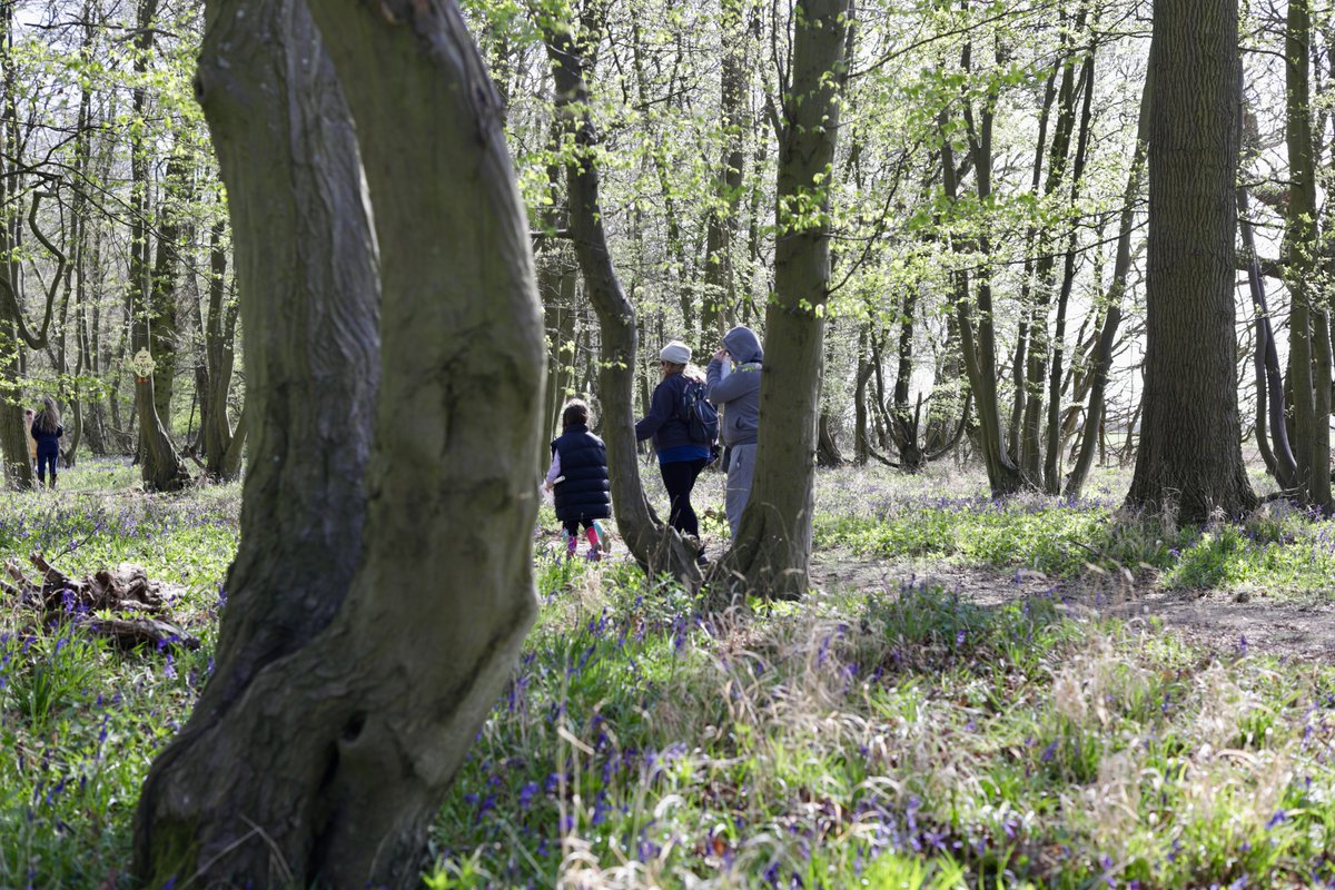 Cammas Hall tweet media