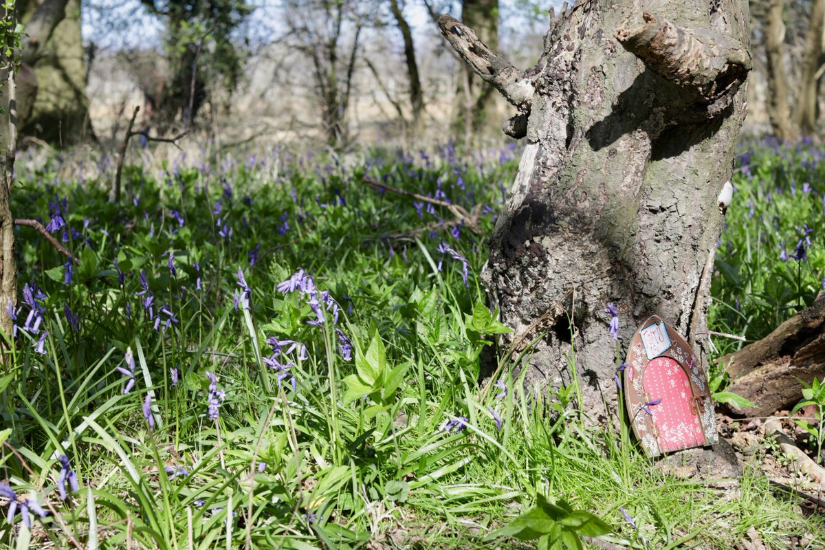 Cammas Hall tweet media