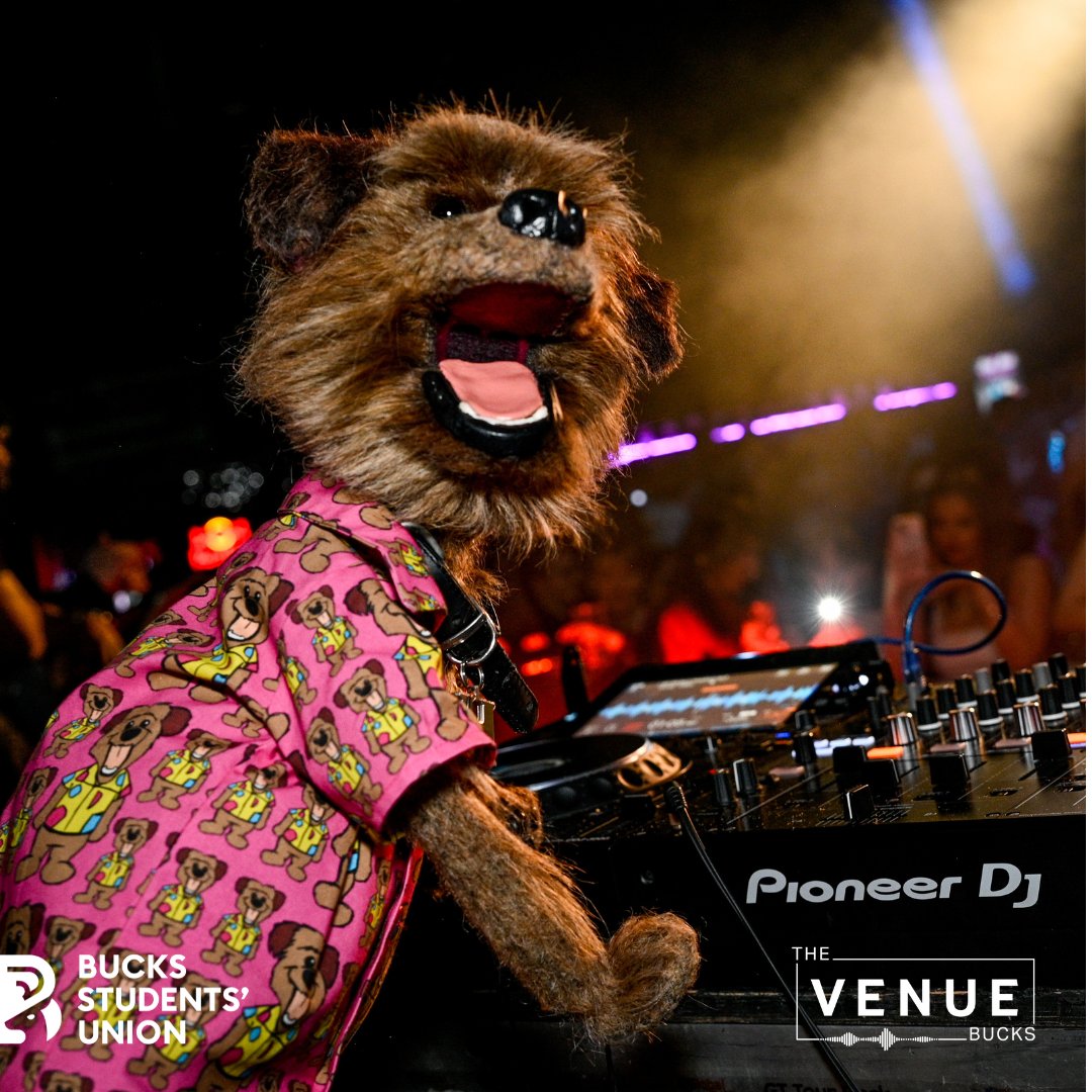 VenueBucks's tweet photo. What a night with Hacker the dog! 🐶🎧
Check out a few highlights from yesterday! 🐾✨
Head over to our Facebook page The Venue Bucks to see all the action from this unforgettable event.
Share the memories and don’t forget to tag @VenueBucks  so we can see your posts! https://t.co/TFlOSCoGHM