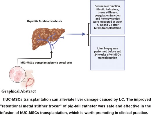 A comprehensive evaluation system for ultrasound-guided infusion of human umbilical cord-derived MSCs in liver cirrhosis patients
doi.org/10.1093/stcltm…