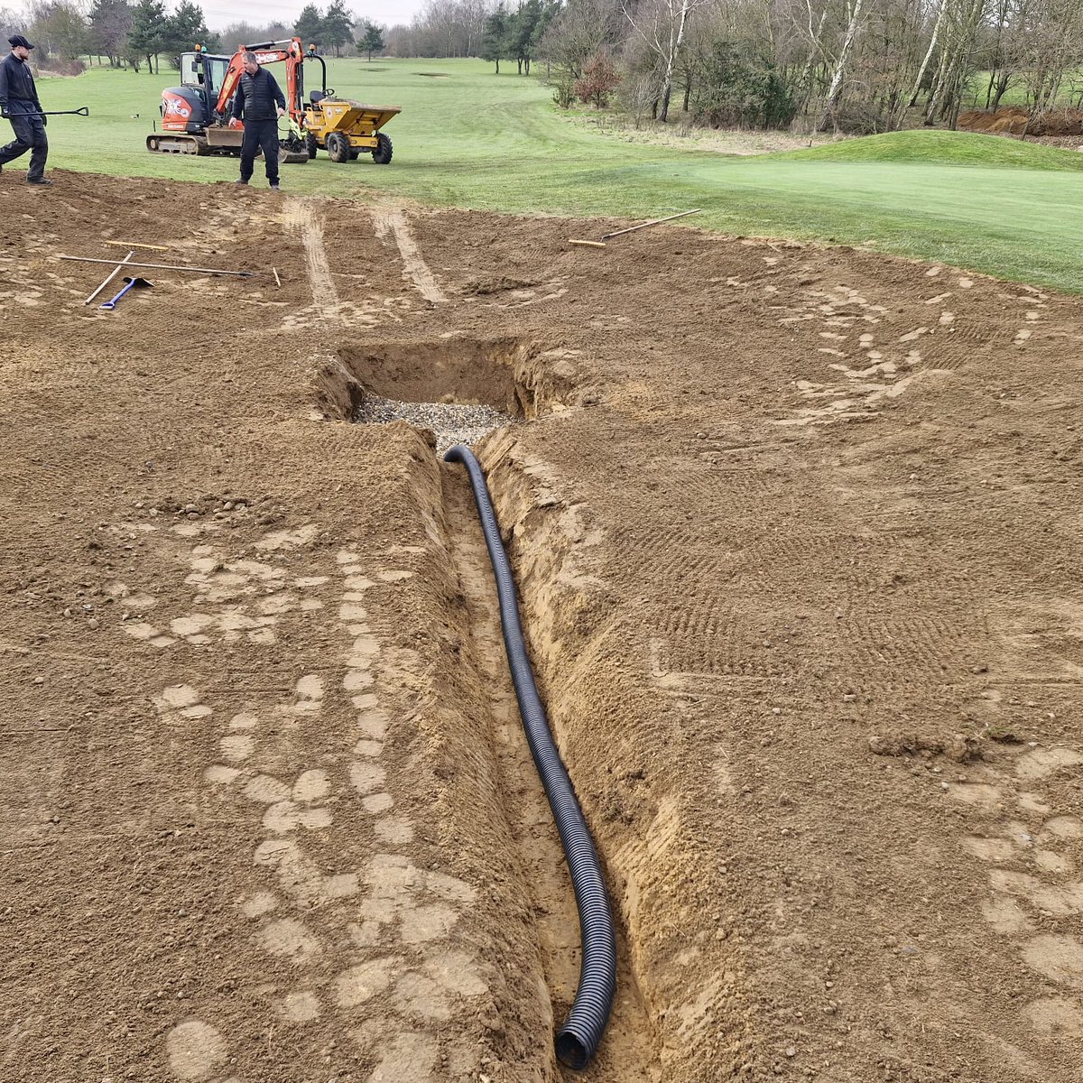 BBGreenkeepers's tweet photo. 7th Hill bunker removed and  swale created . Drain installed finished pics to follow. https://t.co/eBg2RCJiUK