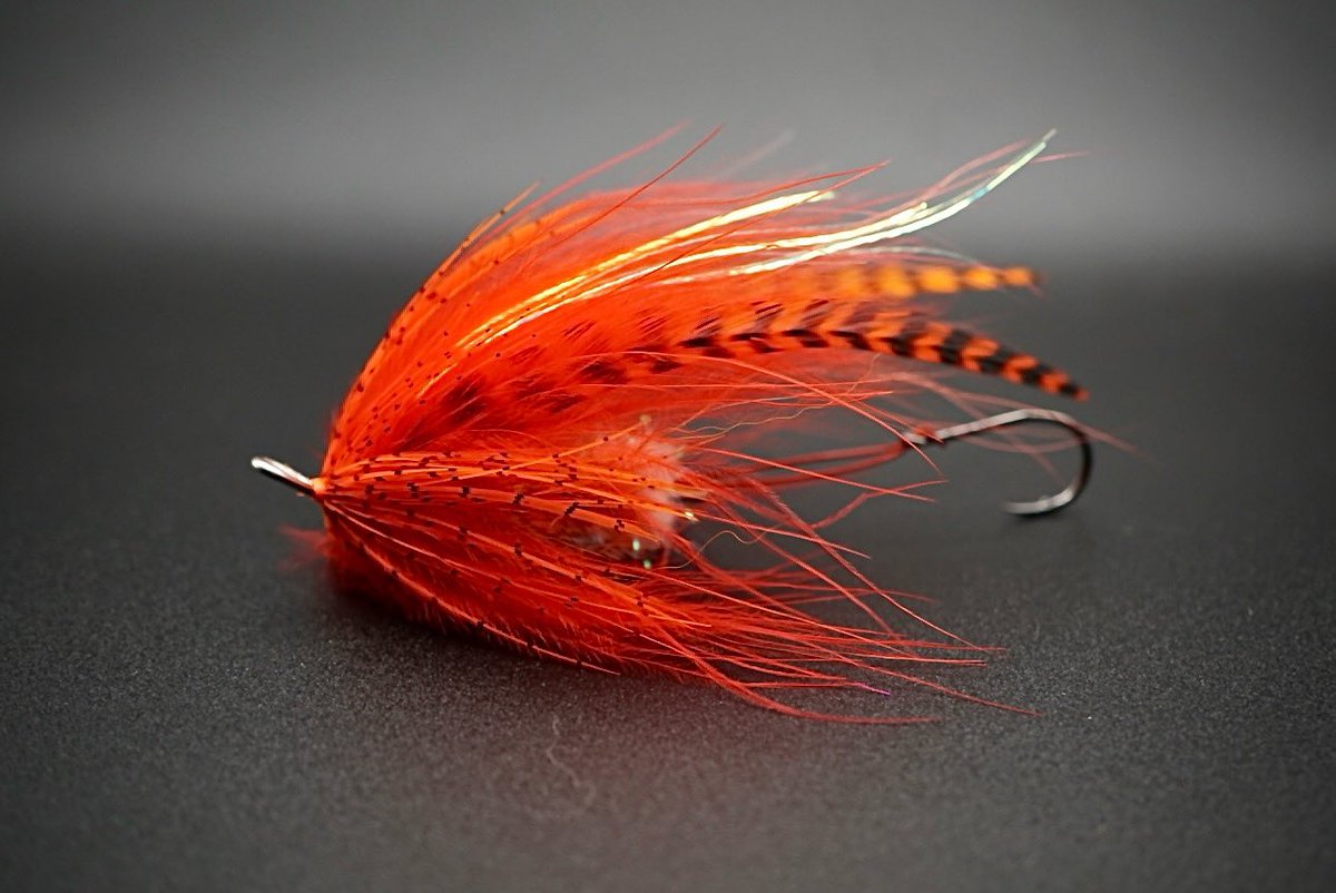 modfisherman's tweet photo. Winter steelhead fly. https://t.co/3S8bcdNeCx