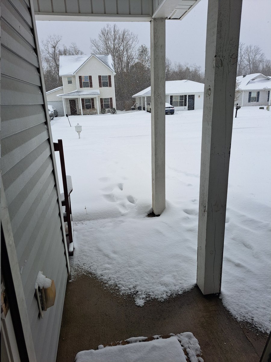 msdssmallworld's tweet photo. I can't believe it really snowed in Louisiana ❄️☃️ https://t.co/GVMtz984EP
