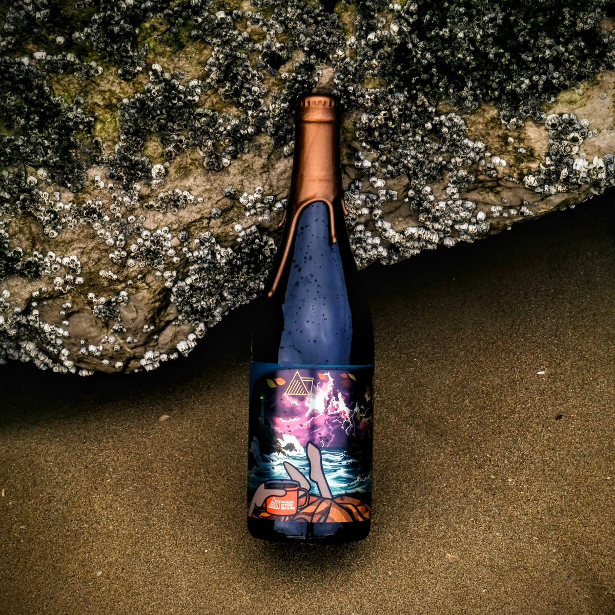 Wander Beyond Brewing tweet media