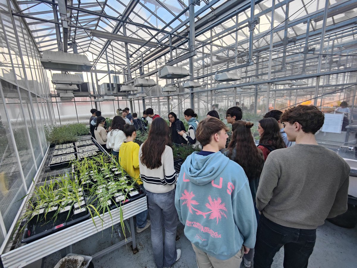 InvestigaUS's tweet image. Mañana de visita y talleres en #CITIUS Celestino Mutis con el alumnado del IES Los Álamos 👩🏽🔬🧪
citius.us.es/web/divulgacio…
#DivulgaUS @unisevilla