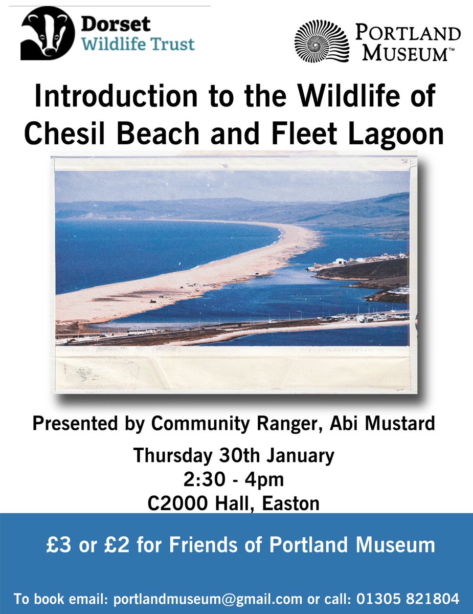 On Thursday 30th January at 2:30 - 4pm at the C2000 Hall, Easton, Portland Museum is hosting ‘Introduction to the Wildlife of Chesil Beach and Fleet Lagoon’ by Abi Mustard

£3 or £2 for Friends of Portland Museum
To book tickets, email: portlandmuseum@gmail.com call: 01305821804