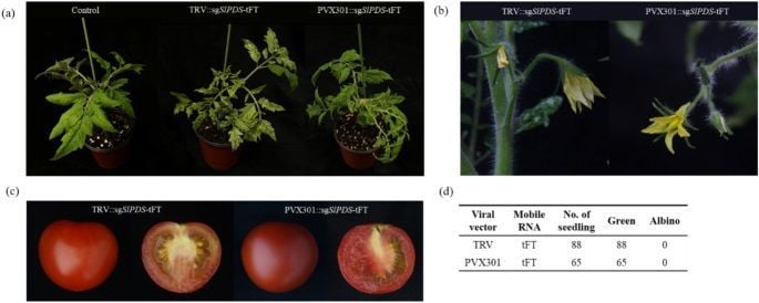 Plant Science tweet media
