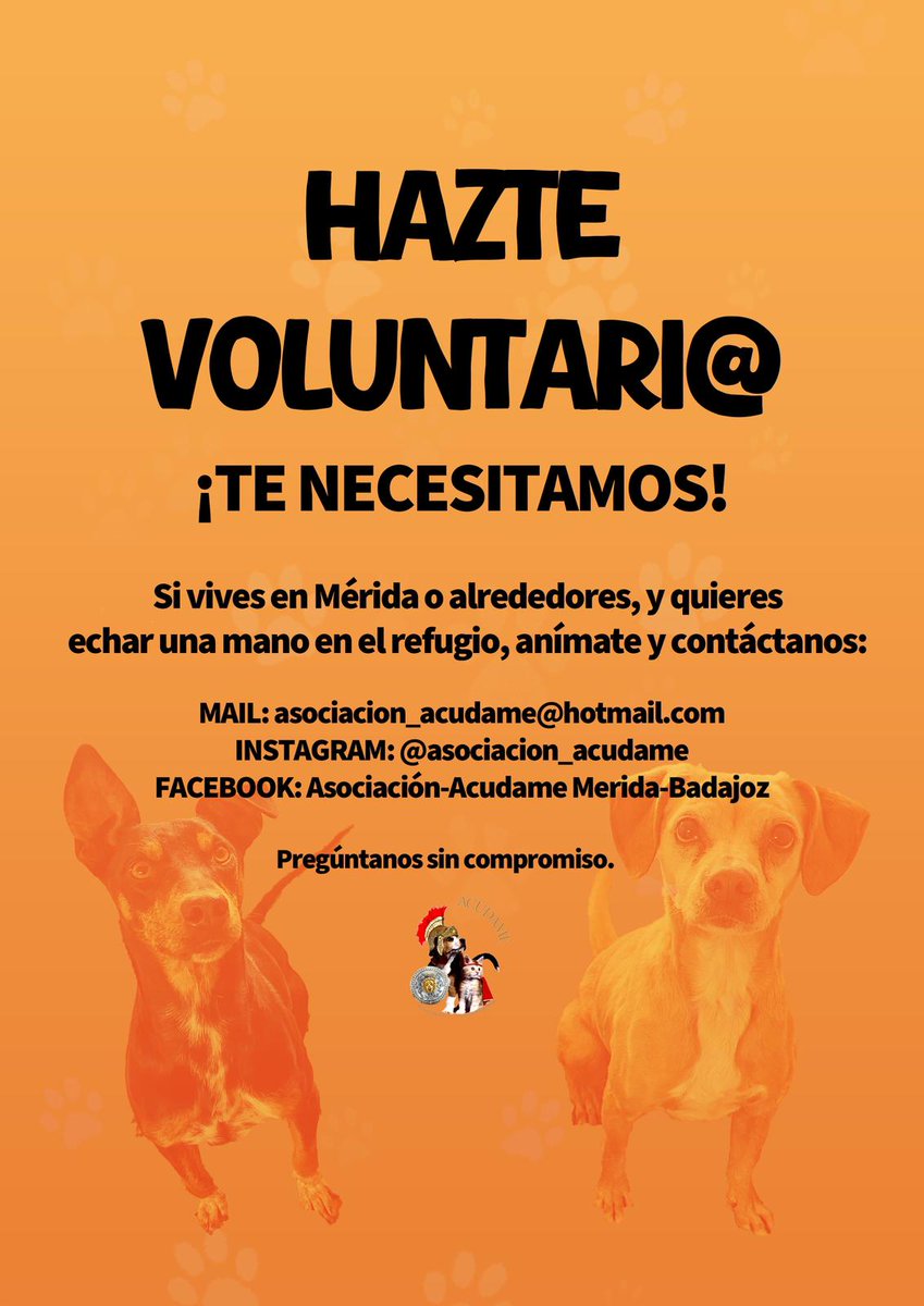 ¿Quieres ayudar a los peludos? Hazte voluntario!!!
