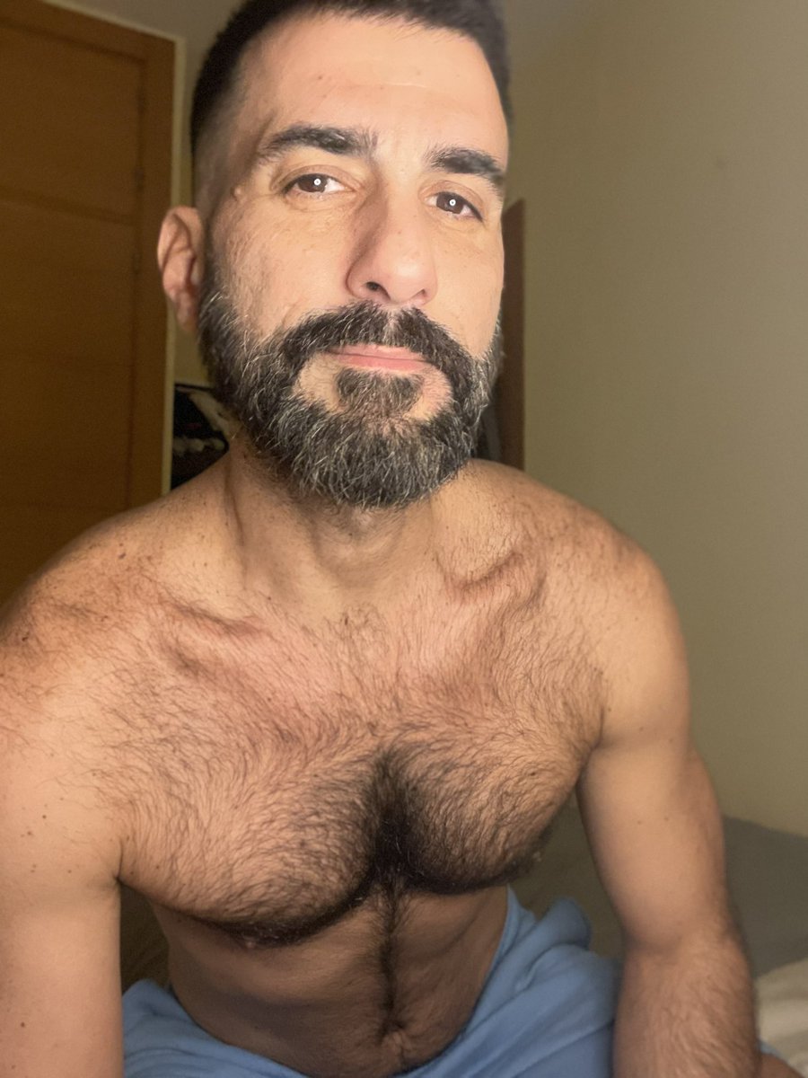 Samer Bitar tweet media