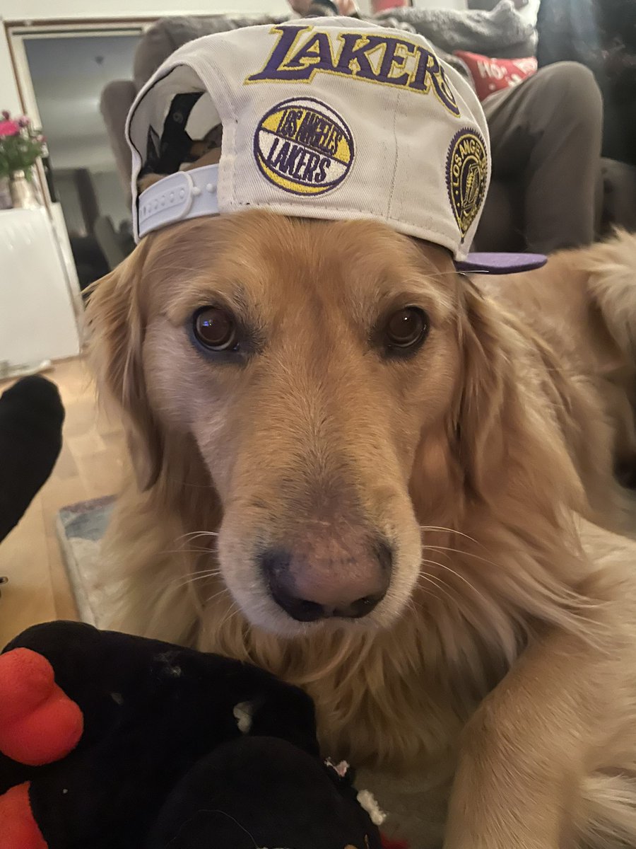 Photographer from local newspaper came today and got some good photos. Needless to say this boy also had to be in the photo with his Mum giving her kisses!! 😂