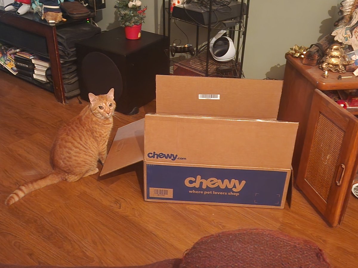 Henry loves this <a href="/Chewy/">Chewy</a> box so much he won't let me throw it away 😭 
#cats #funny