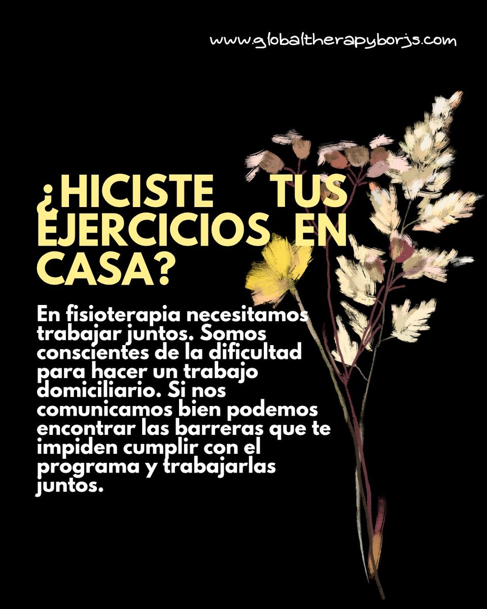 🤸‍♂️Global Therapy tweet media