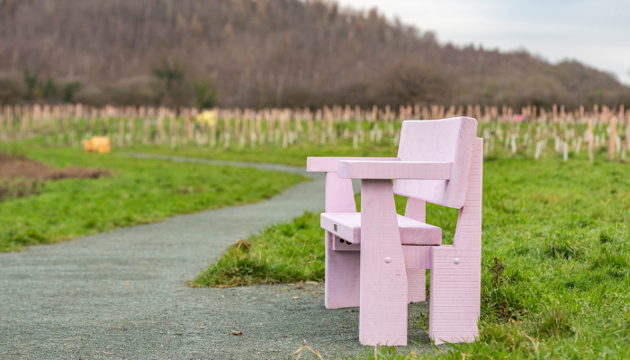 LitWales's tweet photo. We're proud to share that @hanan_issa_ has penned a poem to help share the story of one of Wales’ new commemorative woodlands in North Wales.

Hafod y Bwch Commemorative Woodland is a living memorial by @NTCymru_ to those who lost their lives to Covid-19.

https://t.co/z226Cz3ems https://t.co/xbuAFLFkwt