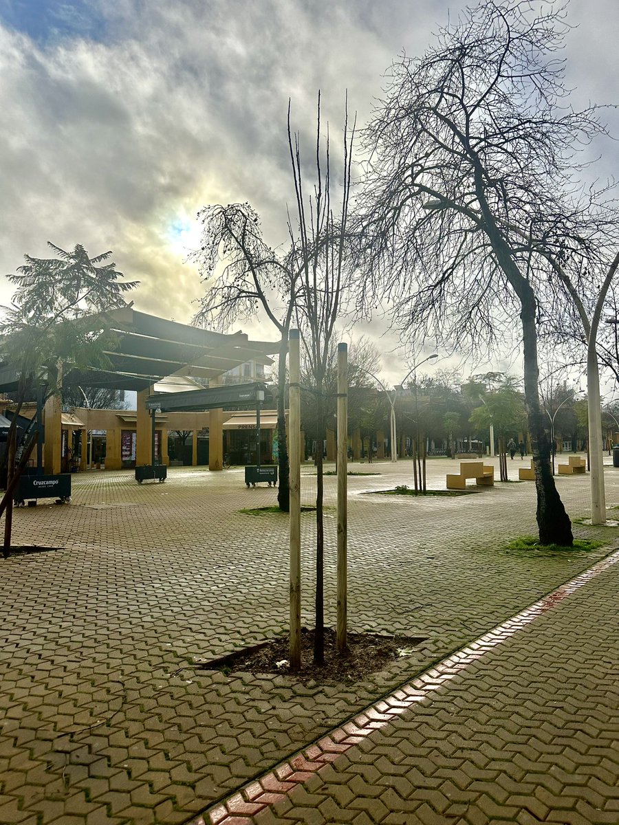 ✅ Cumplimos con nuestro compromiso de recuperación de los espacios verdes de nuestro #DistritoCascoAntiguo.

📍Se están llevado a cabo nuevas plantaciones en la Alameda de Hércules.

👉Está previsto la plantación de un total de 38 ejemplares en este espacio. 

<a href="/Ayto_Sevilla/">Ayuntamiento de Sevilla</a>