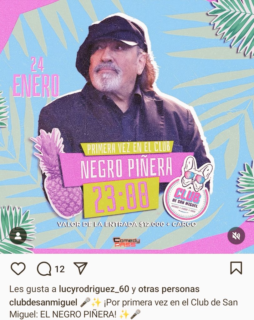 Vulgarcito tweet media