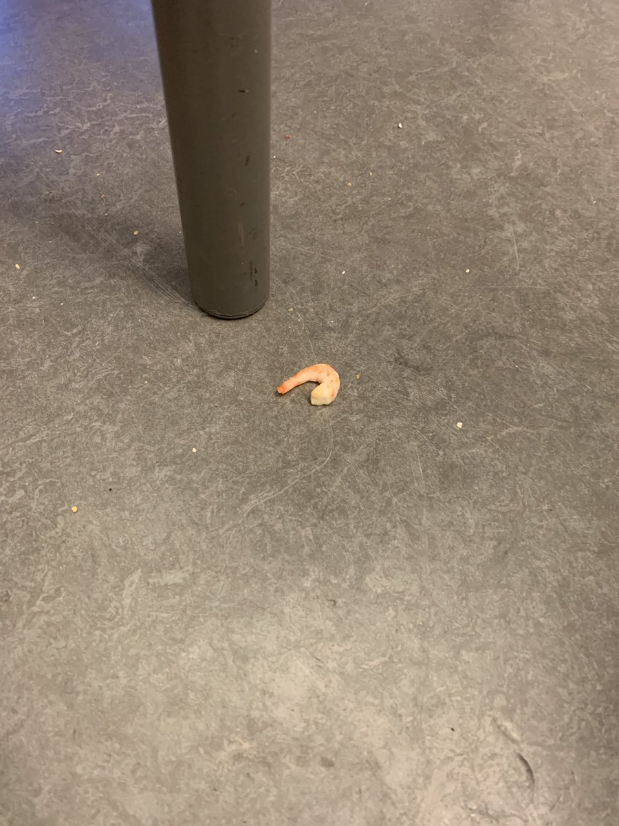 Andreas Gundersen tweet media