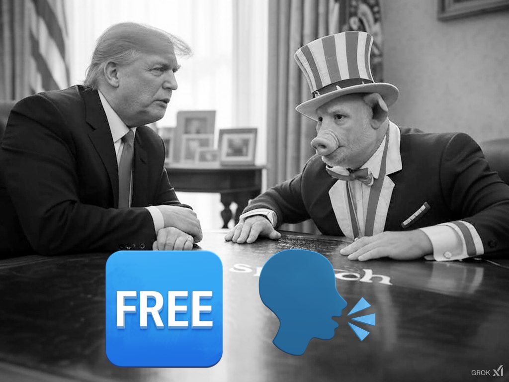 As part of formalizing the FREE SPEECH movement &amp; obtaining the gold check with <a href="/X/">X</a> , we are officially incorporated in the state of Nevada as Free Speech, Inc !

We will keep investing in the project because we have zero doubt about where we are going and how we will get there.