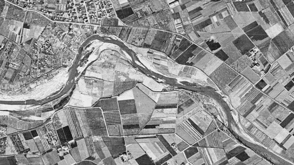 Ireneu Castillo tweet media