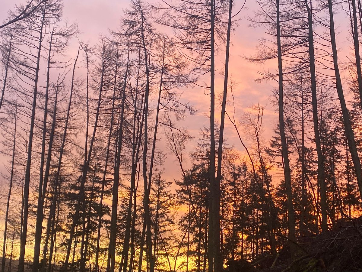 What a stunning morning at #coastalkippford a beautiful light to start a perfect #holidayinscotland