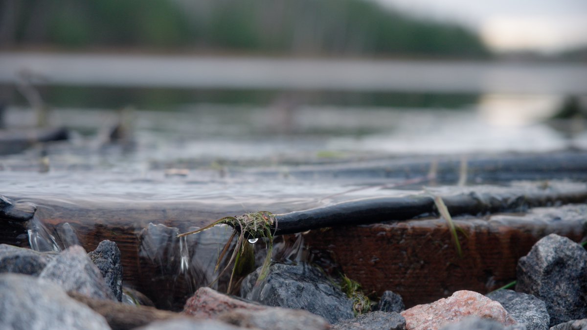 Have you heard? We've restored a 40-acre #wetland in the Lake Laurentian Conservation Area, in partnership with <a href="/Lake_Laurentian/">Lake Laurentian</a>. Find out the important impact this will have on the local ecosystem: loom.ly/Ls1X0TM
