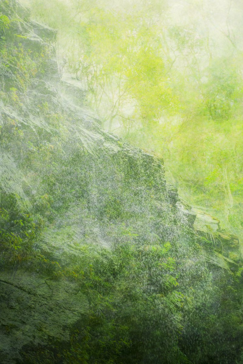 mainaito_art's tweet photo. Water therapy .*･ﾟ

It’s believed that water has the ability to heal our body and cleanse unwanted energy. Finding waterfalls, swimming in the creek, listening to the waves of the ocean - interacting with water always is the best therapy session of your life. https://t.co/oYG4zklrmc