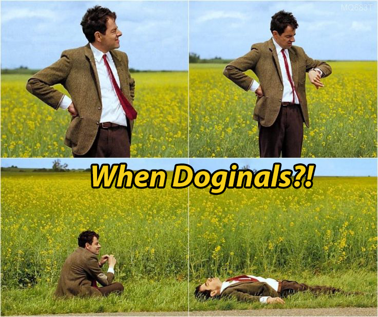 OrdiFind's tweet photo. #doginals enjoyer 😂, When #doginals pump ?

Still waiting......... https://t.co/GIQ8XfaPBF