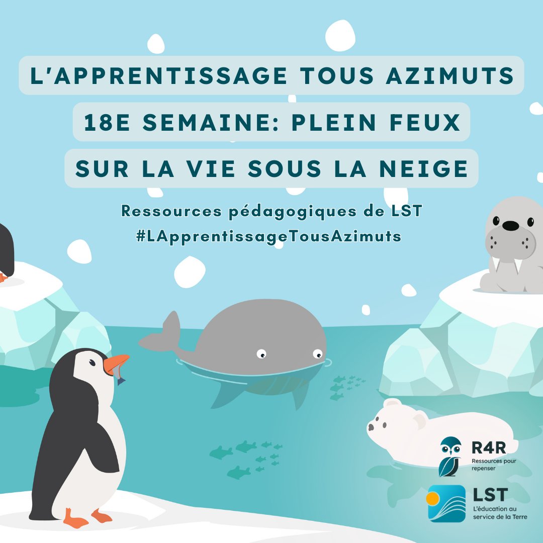 LSF_LST's tweet photo. Climate change is rapidly changing many animals' ecosystems, especially in the Arctic. This week's #LearningInsideOut activities explore animals' winter survival mechanisms underneath the snow. Take your learning outdoors and access our resources here: https://t.co/XxzzDVVyxD https://t.co/EEe7jmHALS