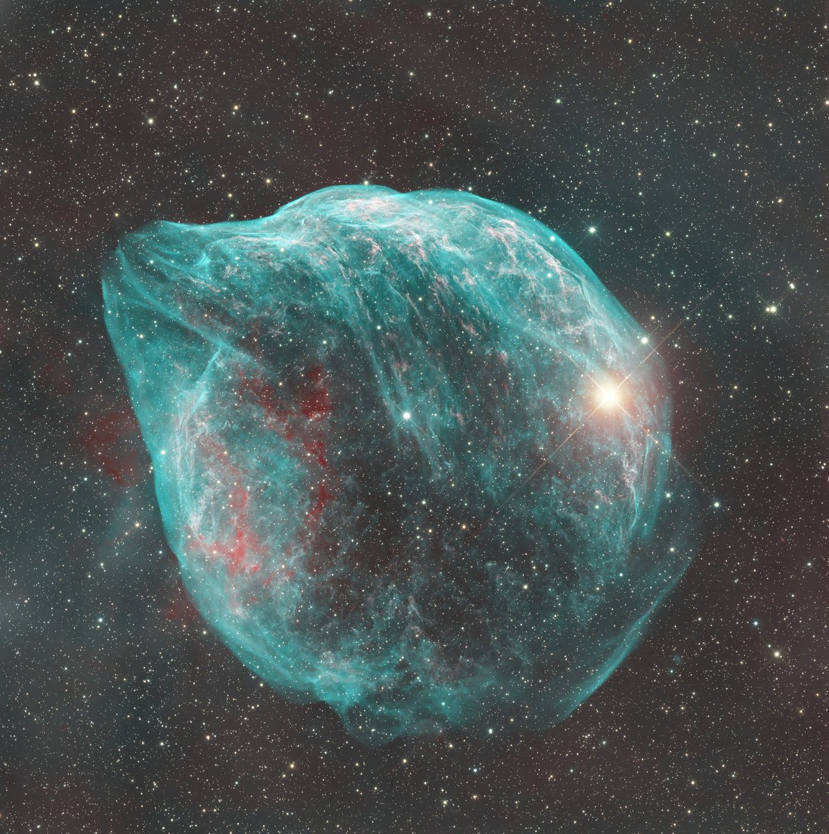 Dr. Peter 🐦 tweet media