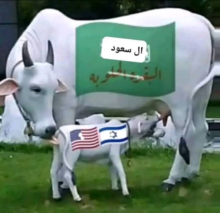 #ترقبوا قريباً 
مسلسل البقره الحلوب الجزء الثاني 😅
#ليس مشهد من فيلم 🎥🐃:

#اليمن #zelena #الكويت #غزة_تنتصر