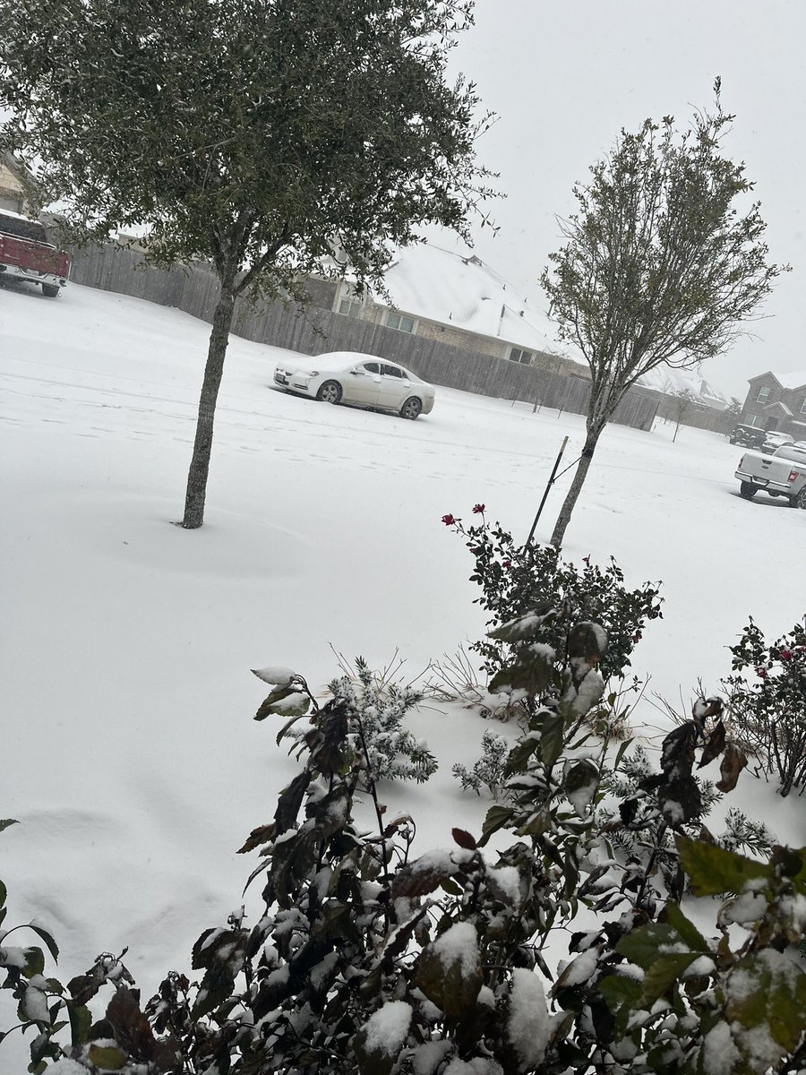 Jacob Dale tweet media