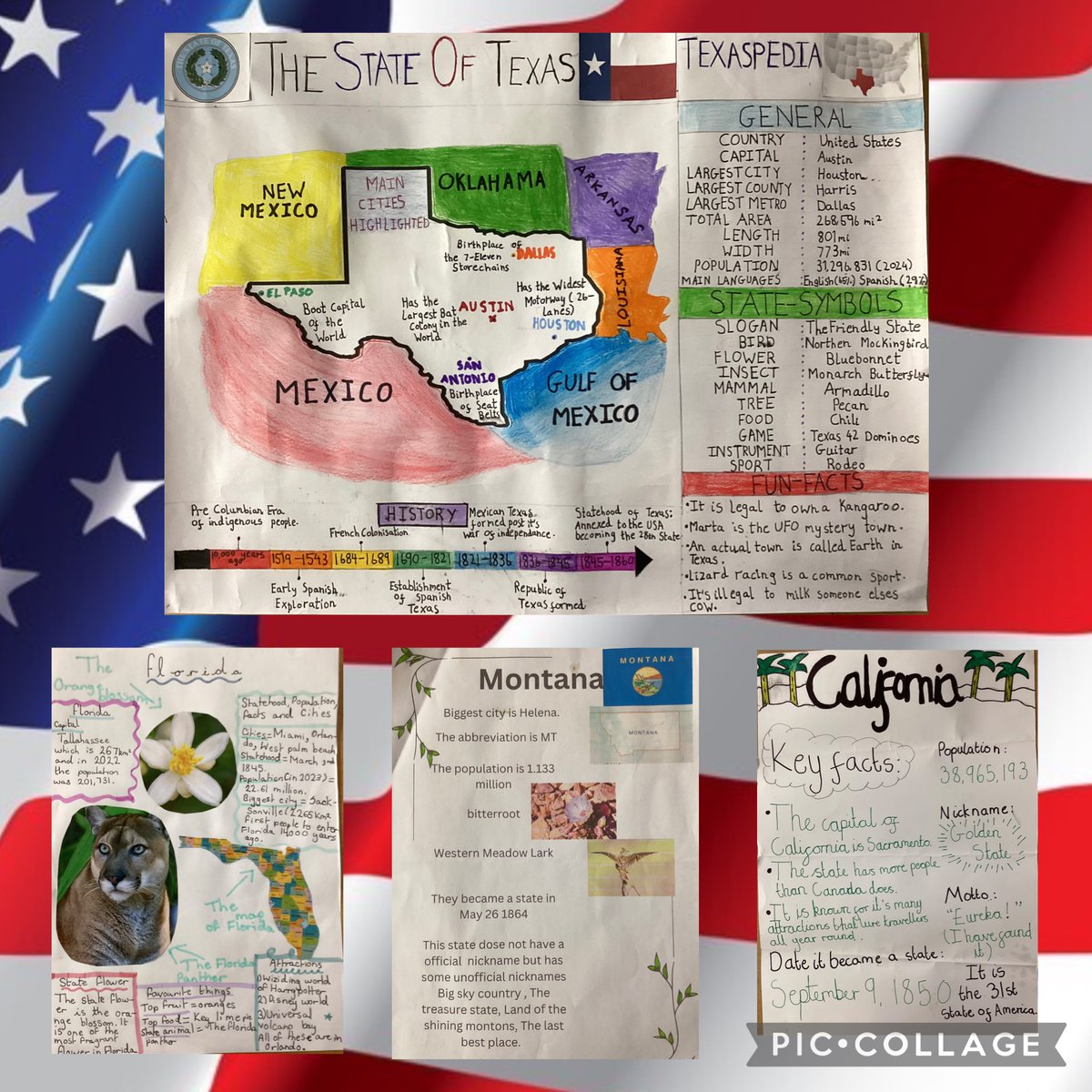 LJS6SW's tweet photo. Over the Christmas break, Y6VS have chosen one of the states of the USA to research.  Here  are  a  few  of  them. What wonderful work! 🇺🇸 https://t.co/93mIJbNQhO