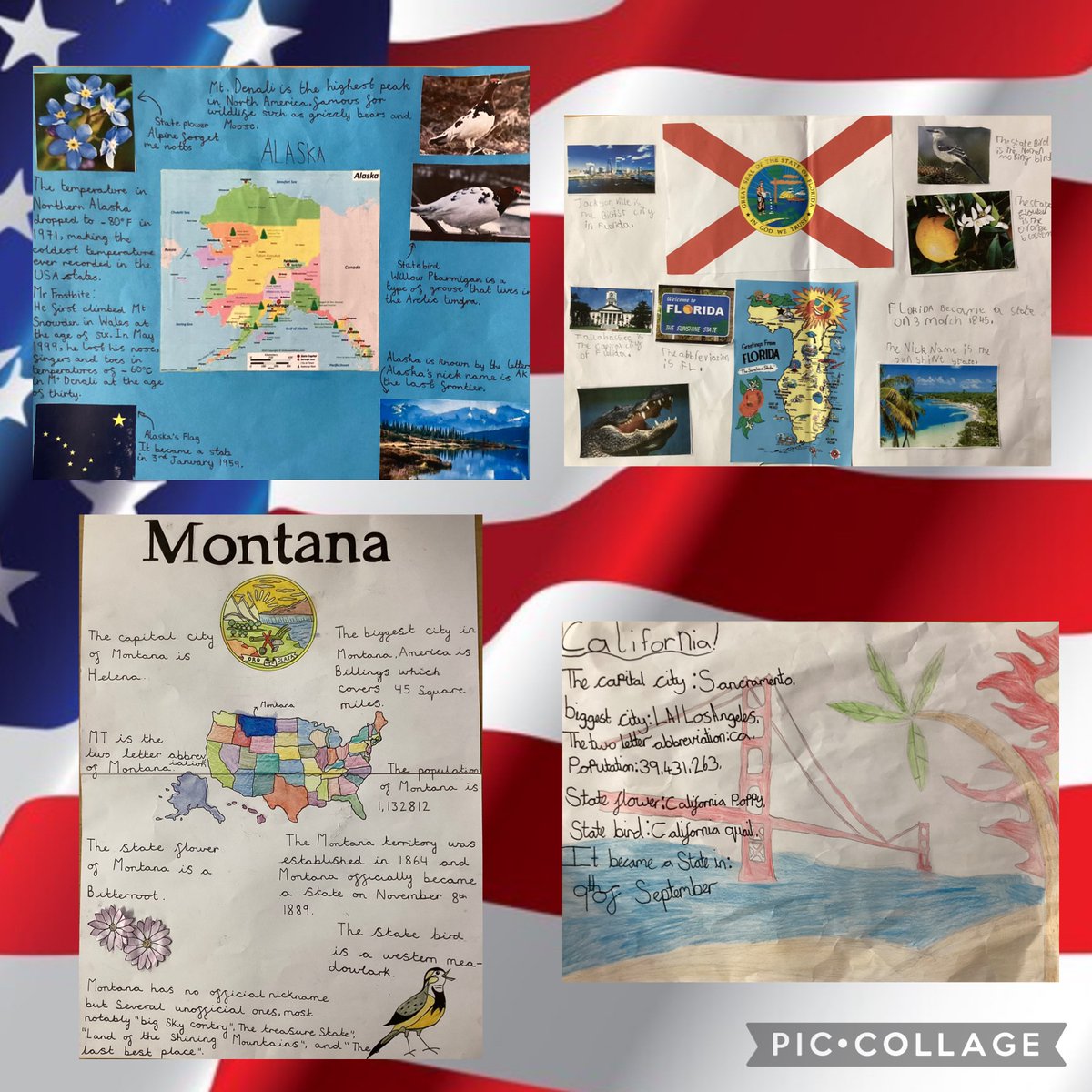LJS6SW's tweet photo. Over the Christmas break, Y6VS have chosen one of the states of the USA to research.  Here  are  a  few  of  them. What wonderful work! 🇺🇸 https://t.co/93mIJbNQhO