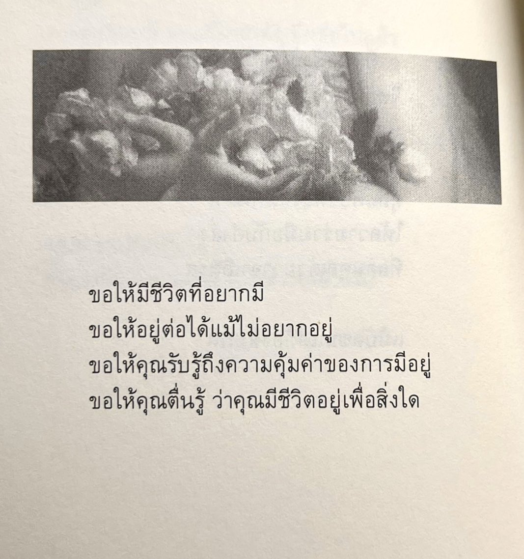 ร้านกลิ่นหนังสือ tweet media