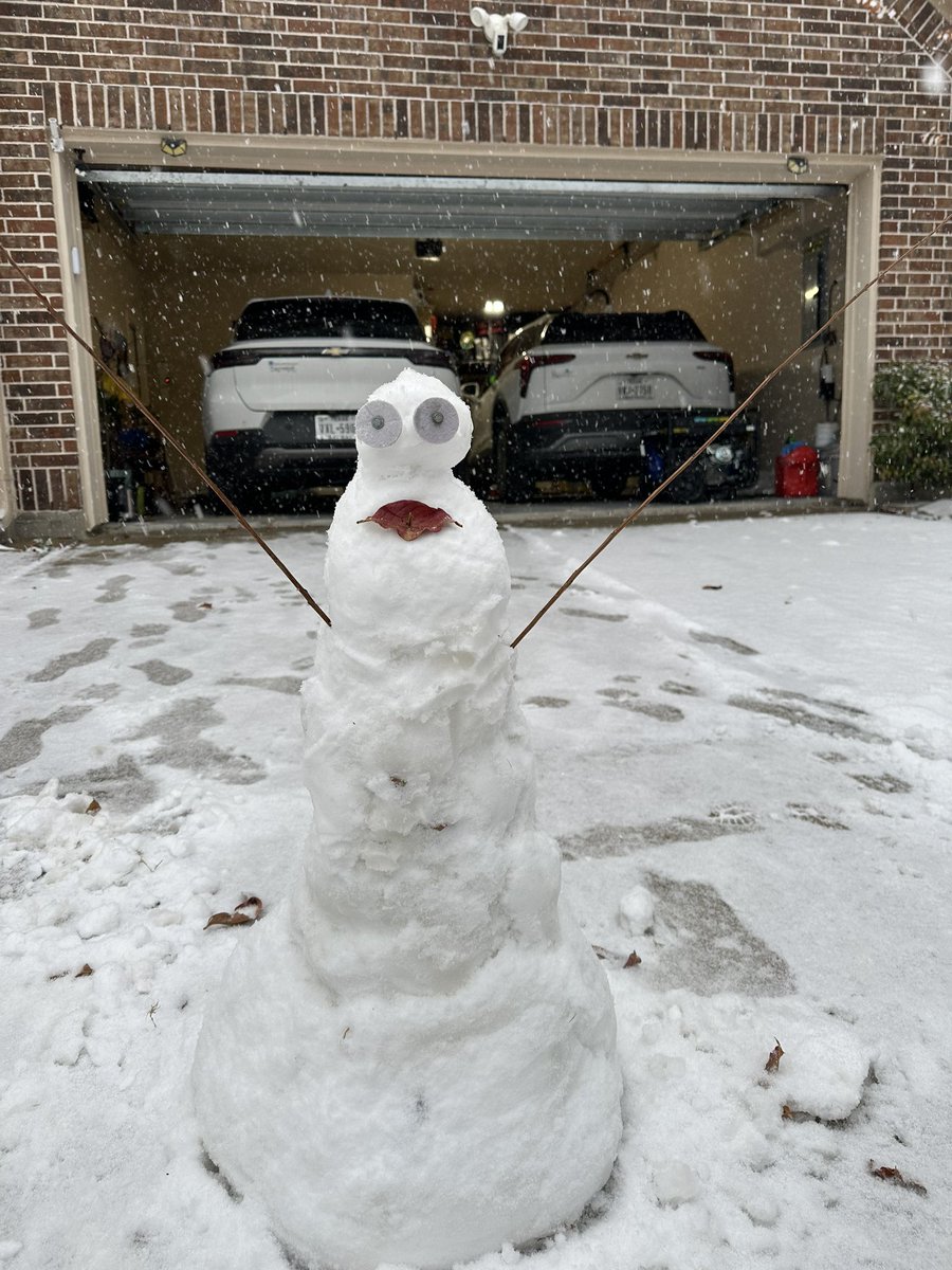 The best Snow Alien of the Year😂 <a href="/KPRC2/">KPRC 2 Houston</a> <a href="/Daji_aswad_wx/">Daji Aswad</a>