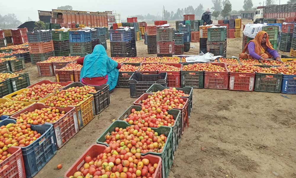 diharagirimana's tweet photo. What are the challenges do you think many Agriculture markets are facing today?

#FarmWith https://t.co/Ii6QoMjO1M