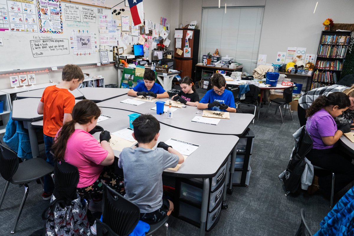 RoyseCityISD's tweet photo. ๐ 3rd graders at WR Fort Elementary had a unique opportunity to dissect owl pellets, thanks to a grant from the Royse City ISD Education Foundation. They learned about the food chain and discovered what their owl preyed upon. #GrantInAction #RCISDJoy https://t.co/mzR5aVJewM