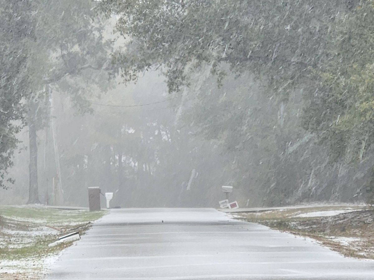 Feelaslothical's tweet photo. Snowing pretty good on the gulf of america.. wut is this!! https://t.co/2bfMGvaxnV