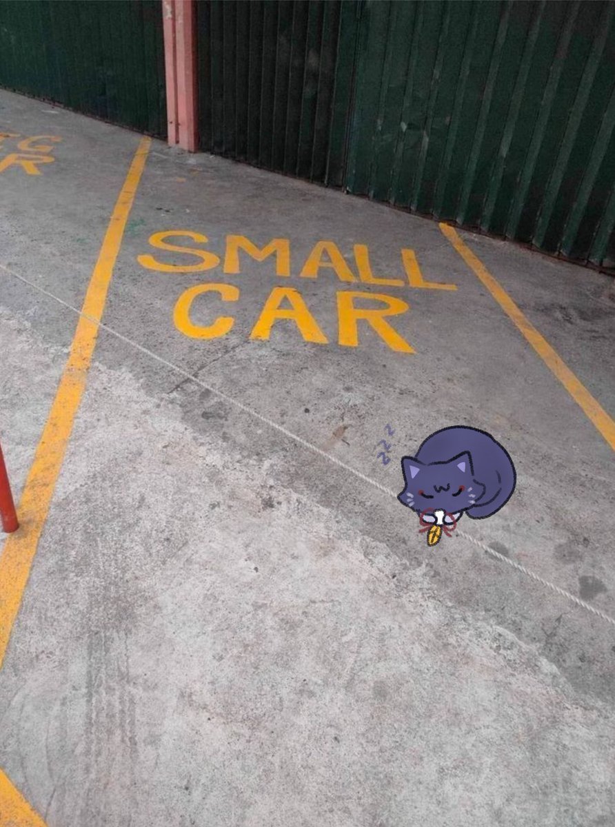 mimacbr's tweet image. small car