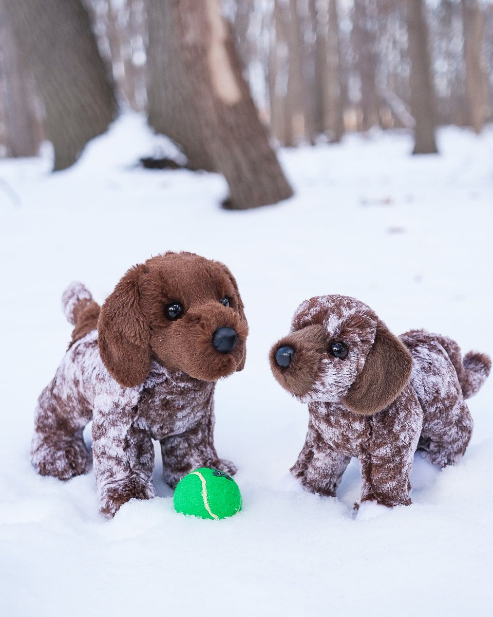 douglastoys's tweet image. Ivan the German Pointer is teaching his son Spud how to play fetch! 🐶🎾 There's nothing these dogs love more than a trip to the park on a snowy day! ❄️

#germanpointer #mutt #puppy #dog #plush #cute #dogs #puppies #gifts #dogmom #dogdad #fetch #doglovers #plushies