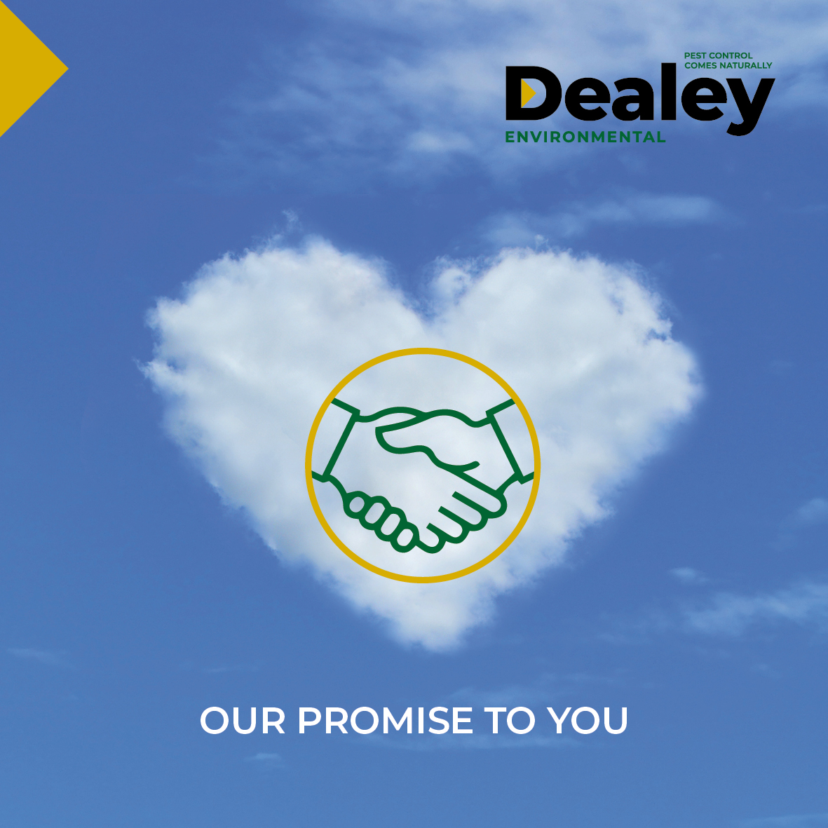 We have been reviewing our company values and customer charter. This is not a tick-box exercise for the team at Dealey but deliverable and realistic statements. What do you think?  

dealey.co.uk/dealeys-custom…

#PestControl #CustomerCharter #PestControlExperts
