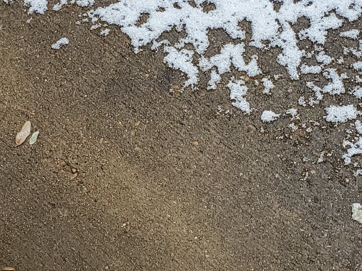 Evil MoPac tweet media